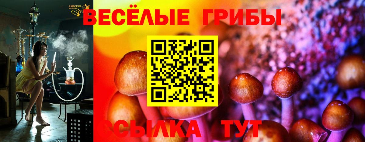 Севастополь  Псилоцибиновые грибы MAGIC MUSHROOMS  Вход с VPN  Псилоцибиновые грибы Psilocybe 