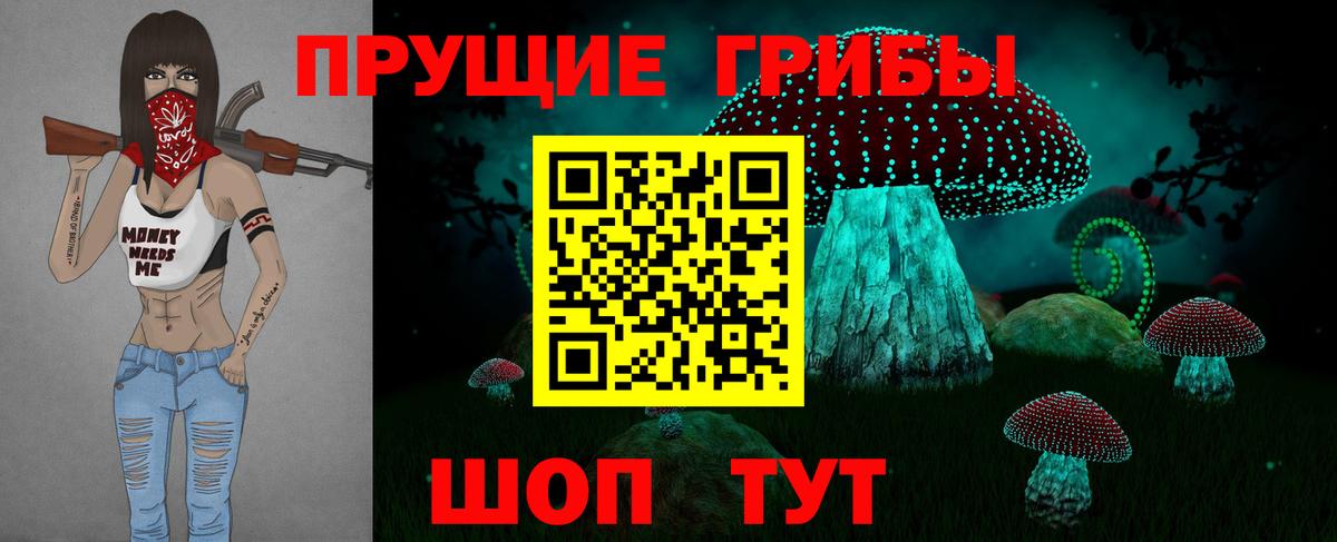 Псилоцибиновые грибы Cubensis Севастополь